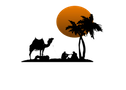 Fezdesert-tours logo